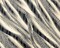 Black-Multi Poly Abstract Print Satin Stripe Chiffon Woven Fabric By the Yard